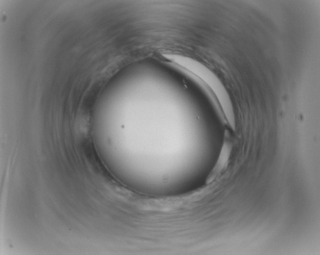 X0000070880033200607071959