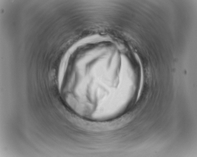 X0000070880034200607071959