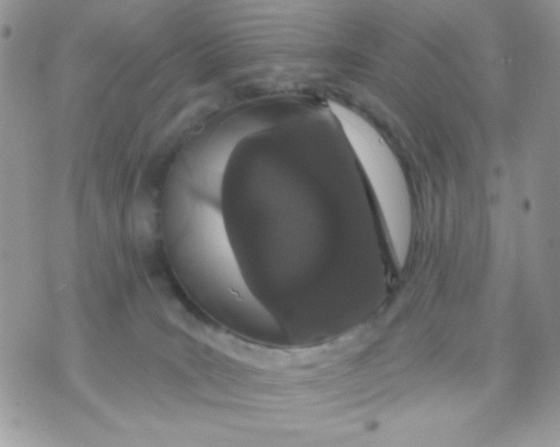 X0000070880035200607071959