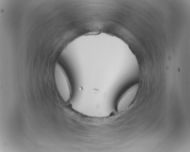 X0000070880037200607071959