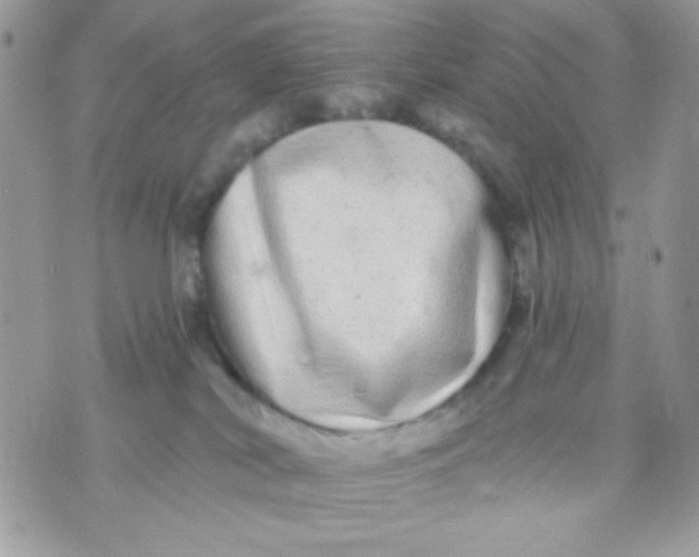 X0000070880038200607071959