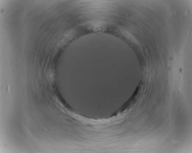 X0000070880039200607071959