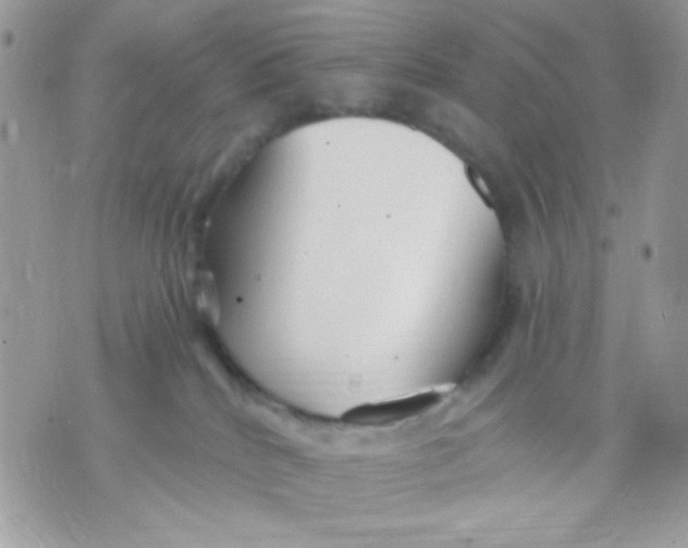 X0000070880040200607071959