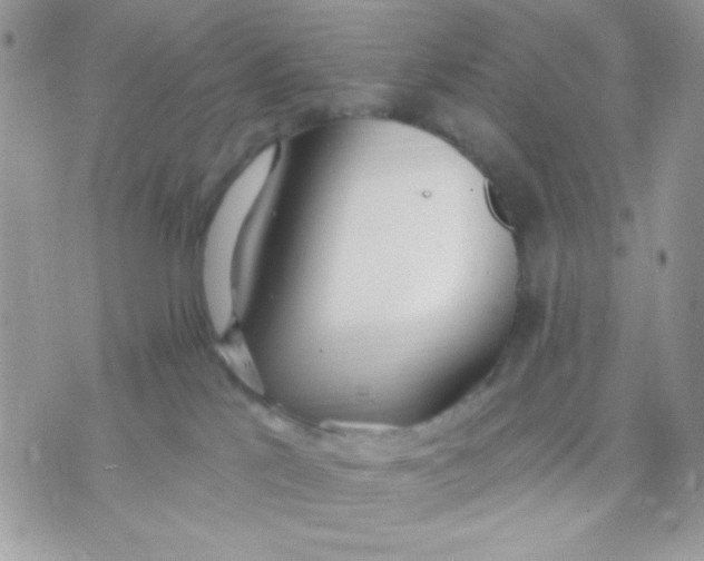 X0000070880041200607071959