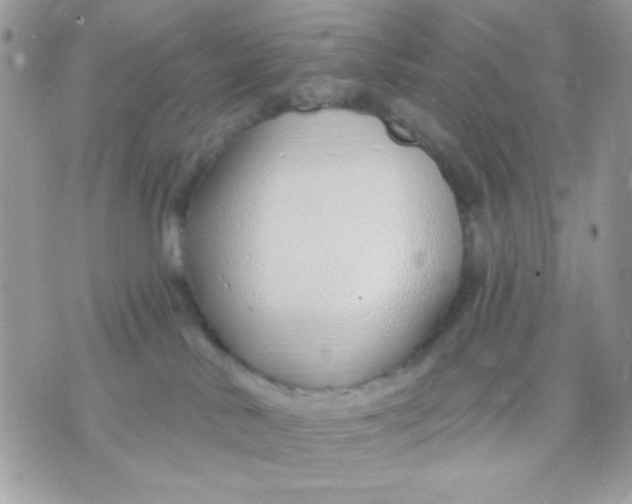 X0000070880042200607071959