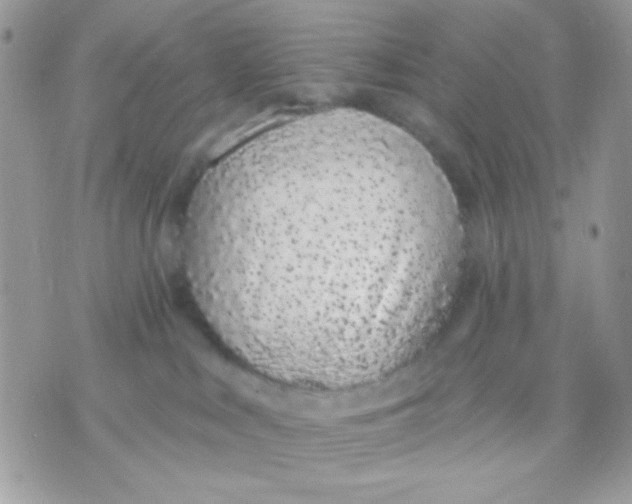 X0000070880043200607071959