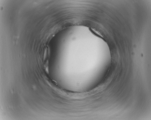 X0000070880044200607071959