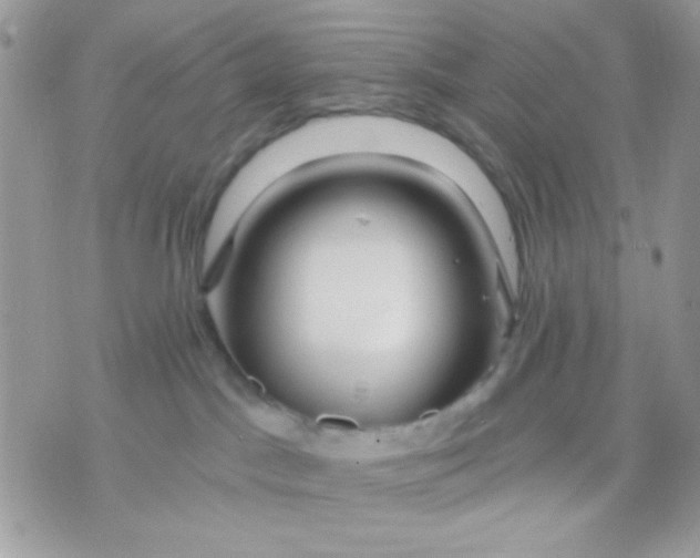 X0000070880045200607071959