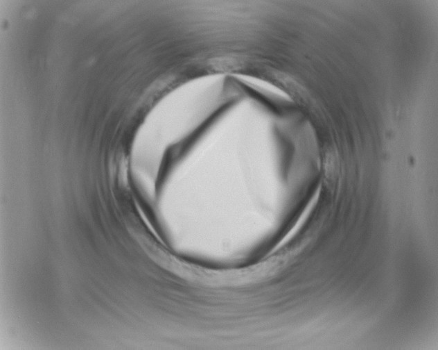 X0000070880046200607071959