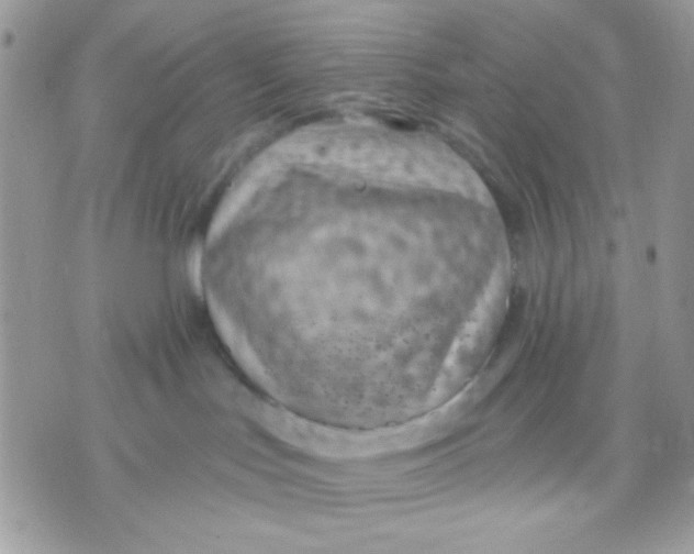 X0000070880047200607071959