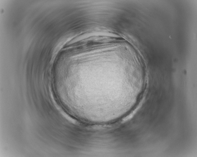 X0000070880049200607071958