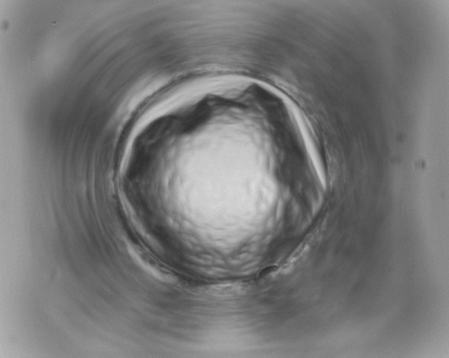 X0000070880050200607071958