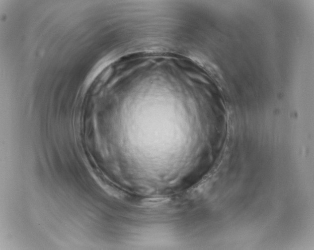 X0000070880051200607071958