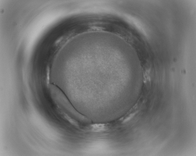 X0000070880052200607071958