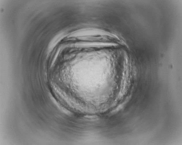 X0000070880053200607071958