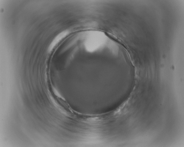 X0000070880054200607071958