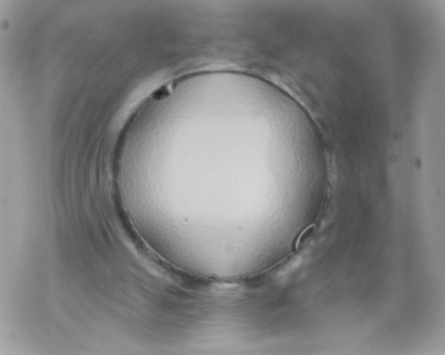 X0000070880055200607071958