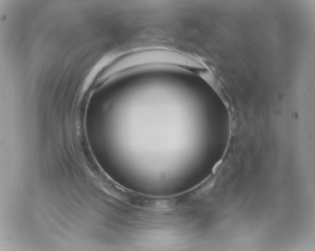 X0000070880056200607071958