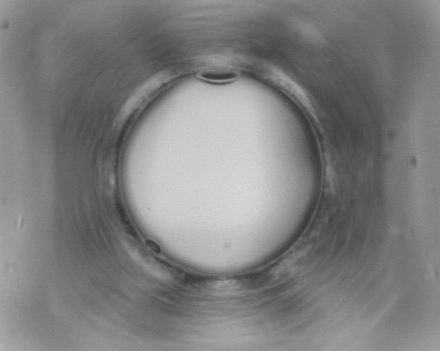 X0000070880059200607071958