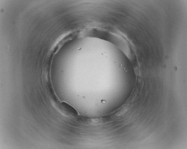 X0000070880060200607071958