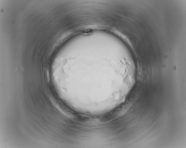 X0000070880061200607071958