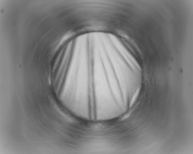 X0000070880062200607071958