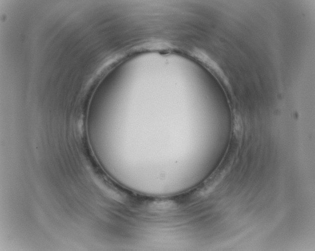 X0000070880063200607071958