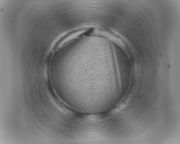 X0000070880064200607071958