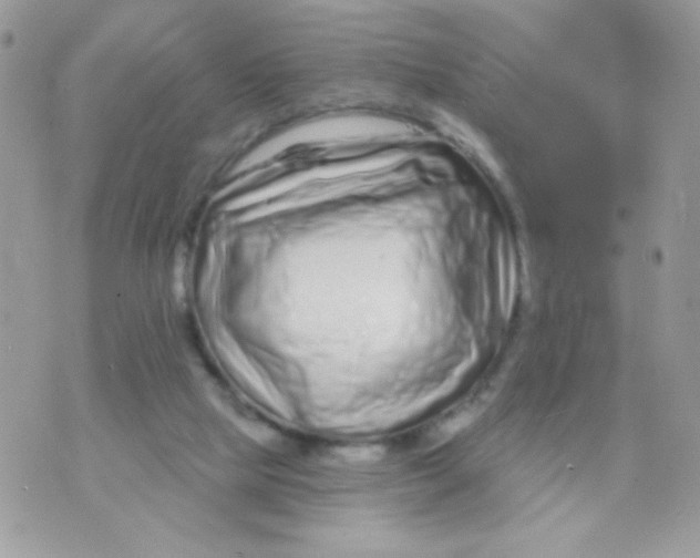 X0000070880065200607071958