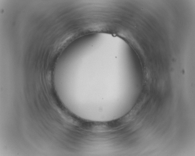 X0000070880066200607071958