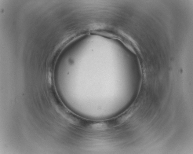 X0000070880067200607071958