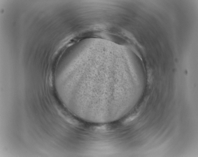 X0000070880068200607071958