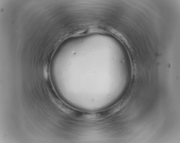 X0000070880069200607071958