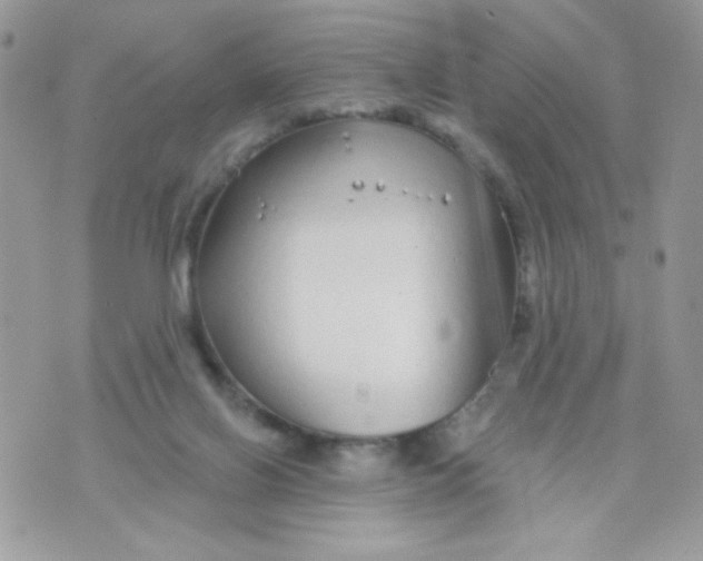 X0000070880070200607071958