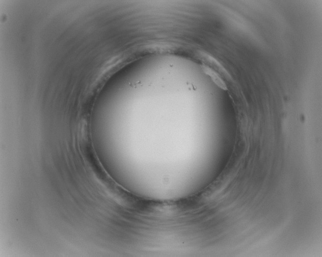 X0000070880071200607071958