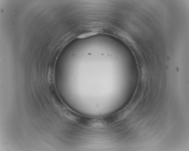 X0000070880073200607071958