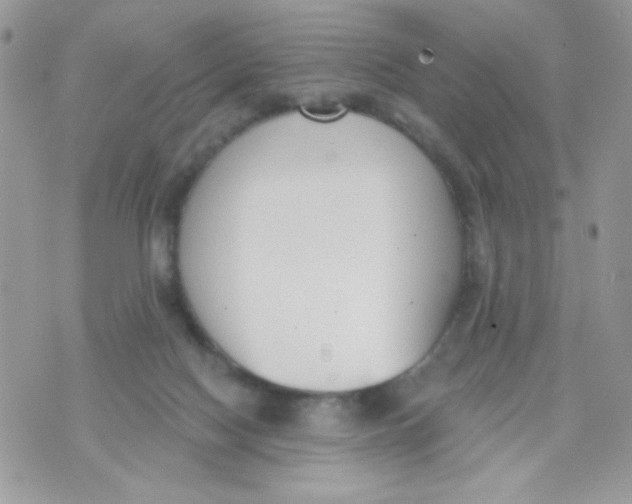 X0000070880074200607071958