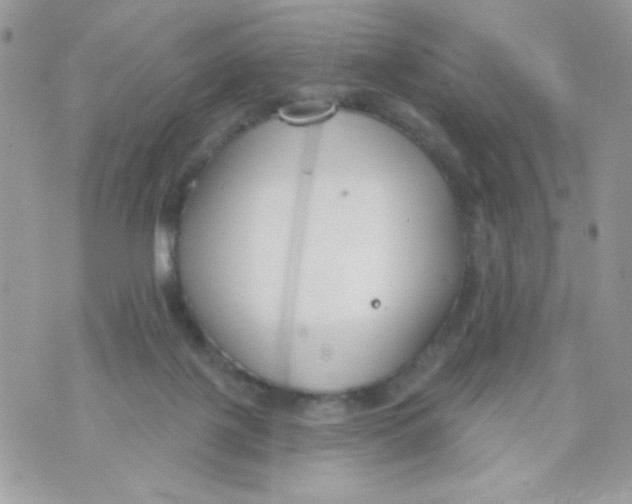 X0000070880075200607071958