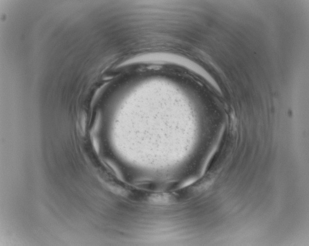 X0000070880076200607071958