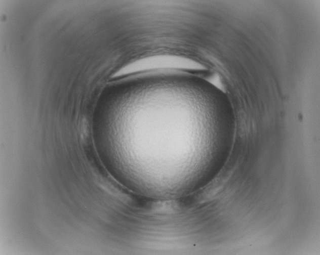 X0000070880077200607071958