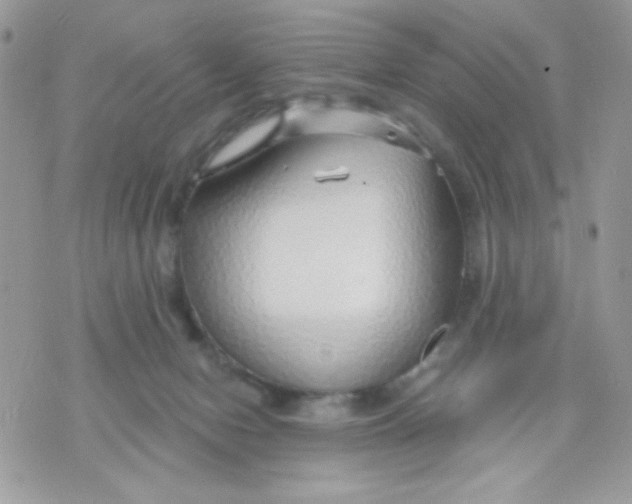 X0000070880078200607071958