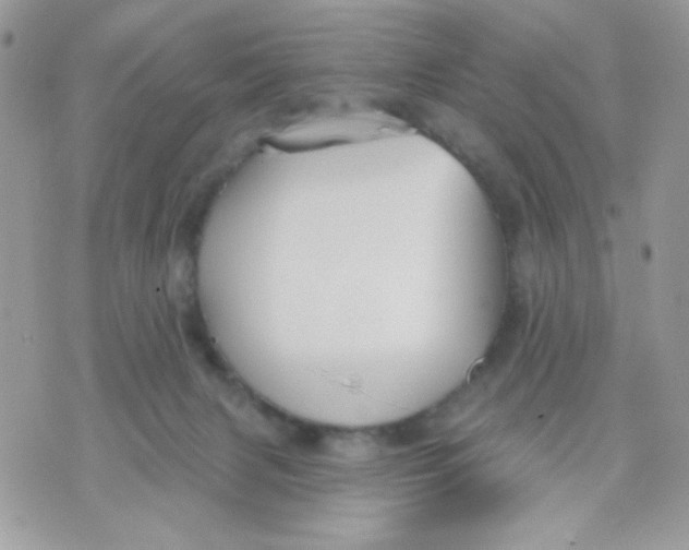 X0000070880079200607071958