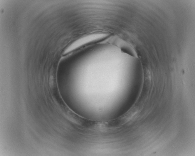 X0000070880080200607071958