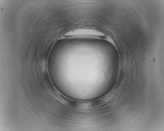 X0000070880081200607071958