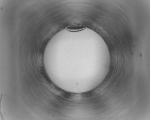 X0000070880083200607071958