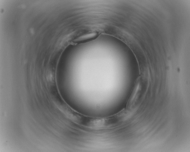 X0000070880084200607071958