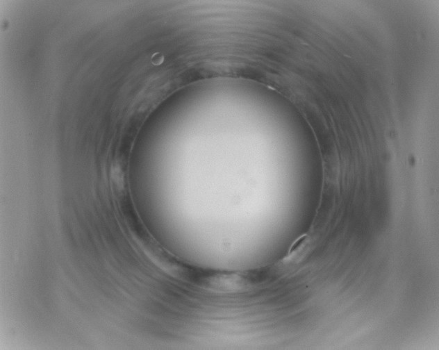 X0000070880086200607071958