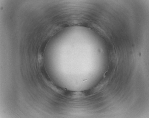 X0000070880087200607071958