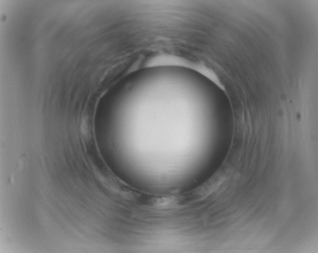 X0000070880088200607071958