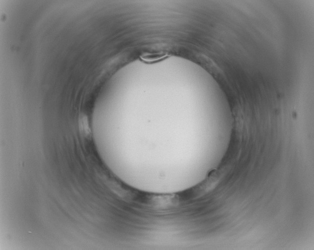 X0000070880089200607071958